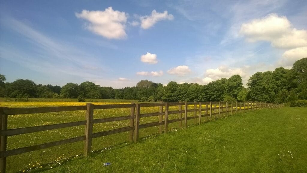 Rural landscape with wooden fence and green fields under blue sky